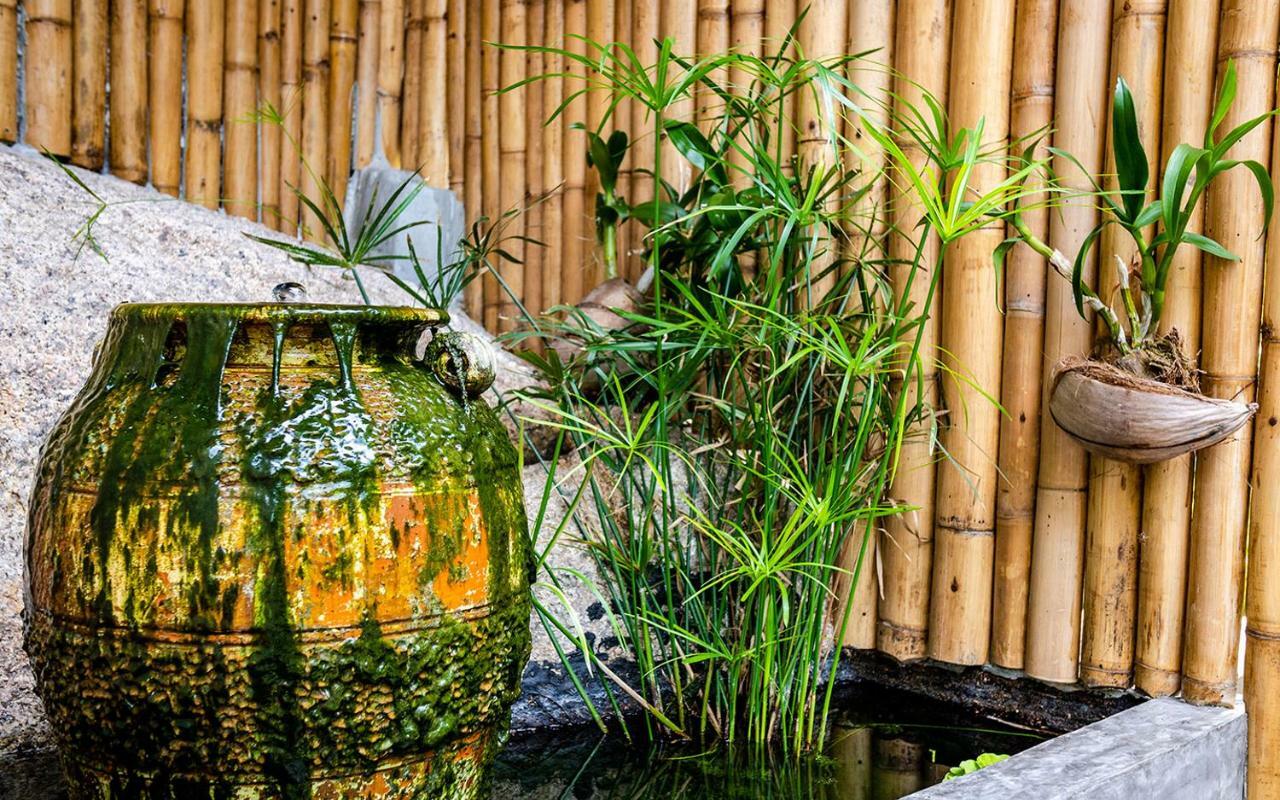 Joy'S Homestay タオ島 エクステリア 写真